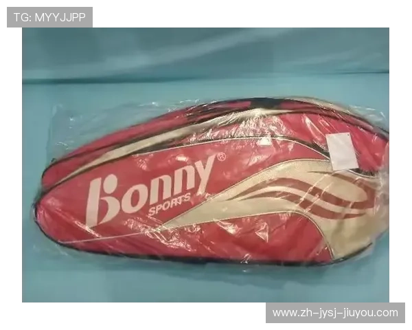 转让新兴羽毛球