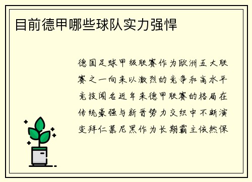 目前德甲哪些球队实力强悍